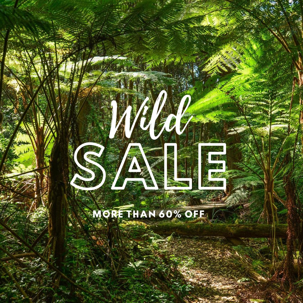 WILD 🐆 SALE